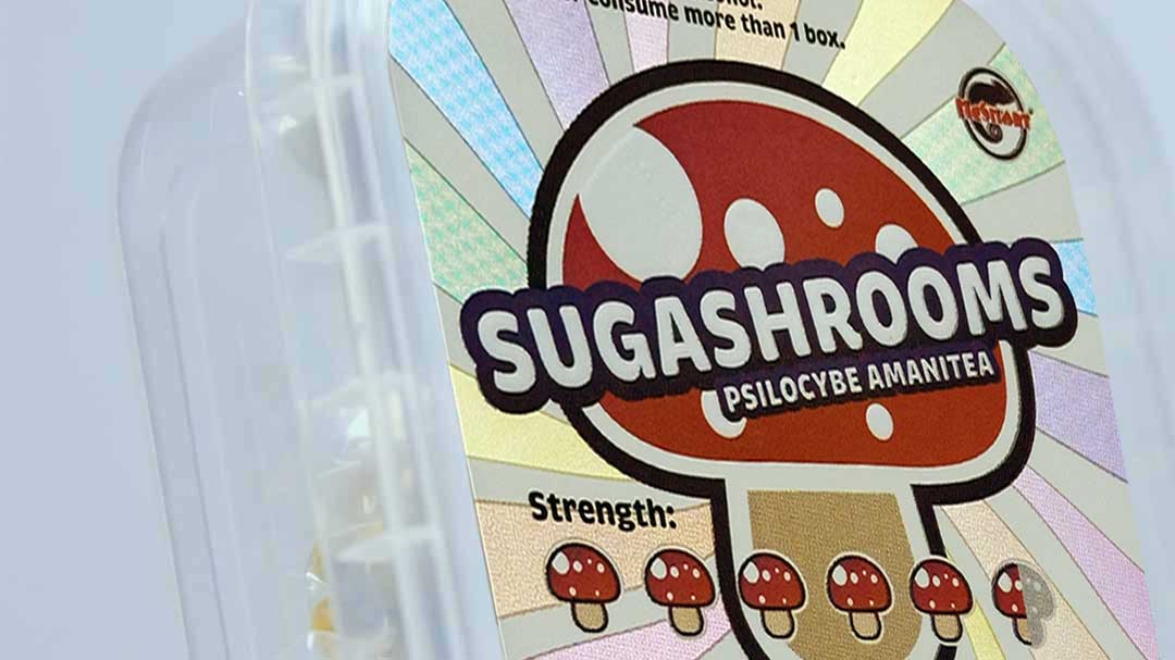 Sugashrooms kopen